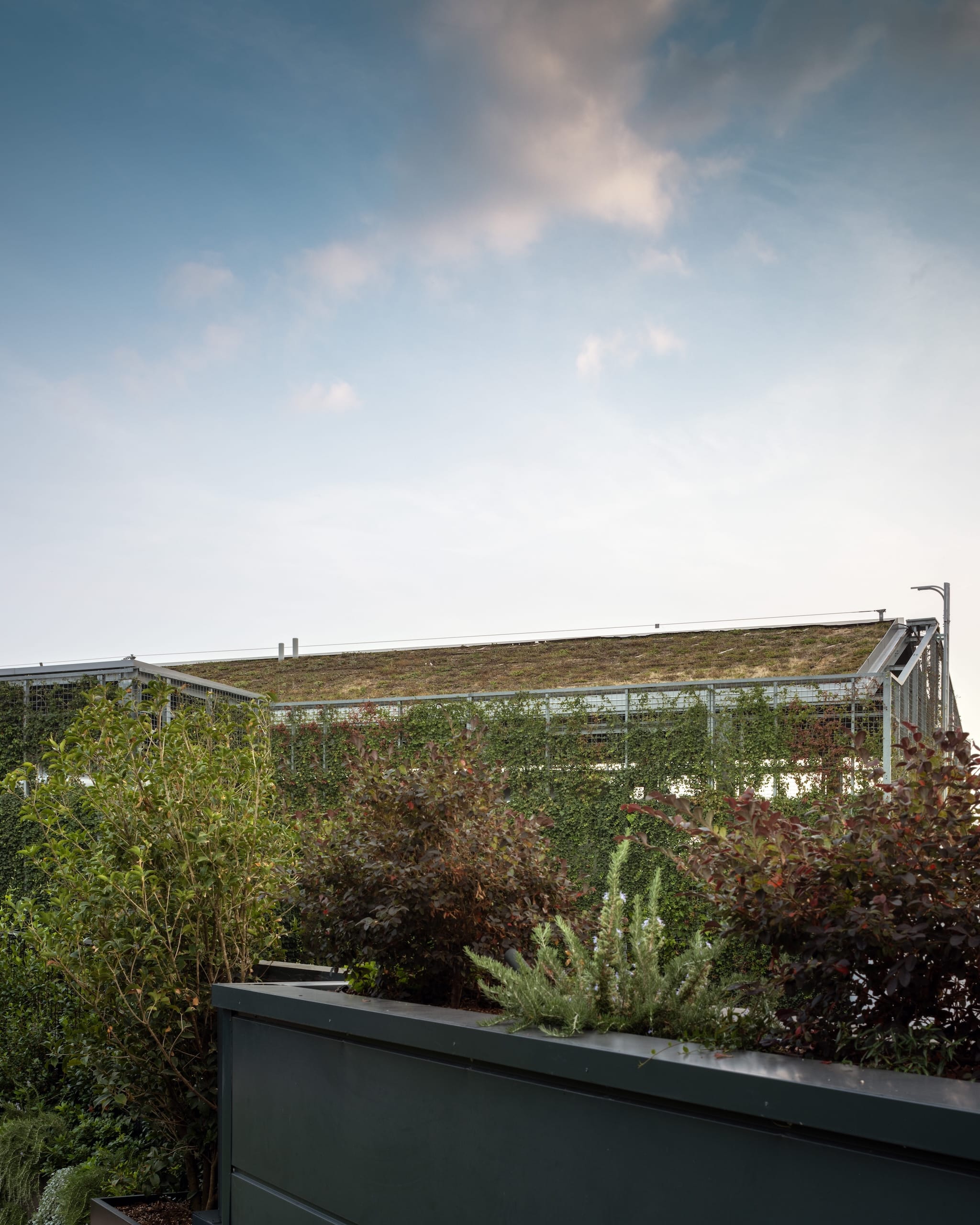 Ampliamento della Cantina Mionetto